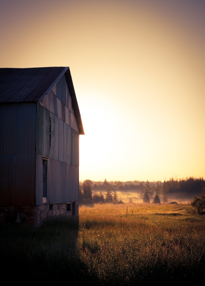 Golden dawn farmhouse