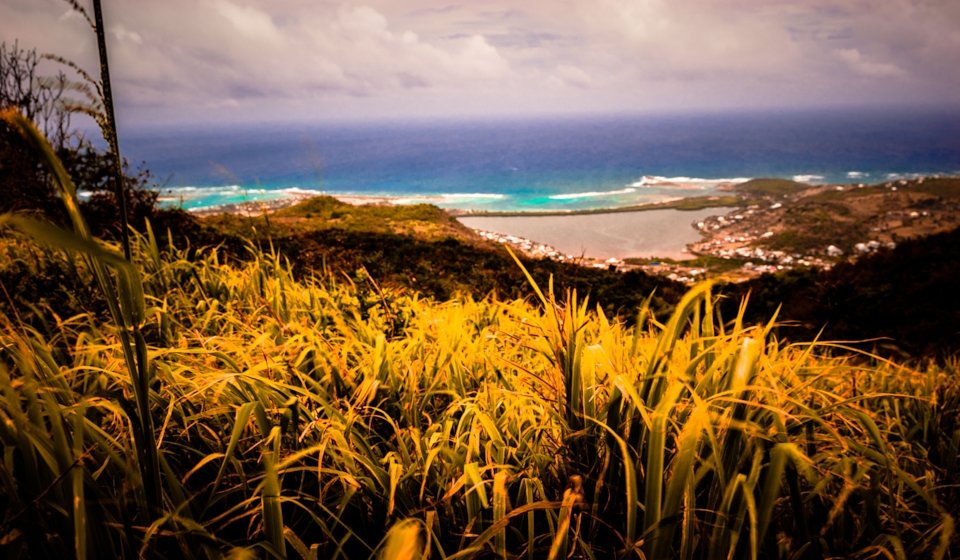 High grass, Saint Martin